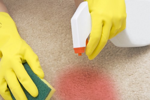 Professional pet stain odour removal in Bow on carpet