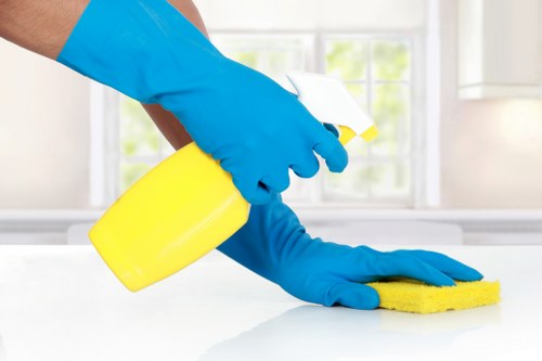 Specialist pet stain odour removal treatment in Bow