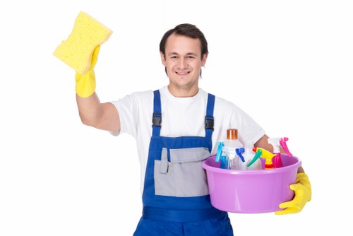 Professional stain removal tools in Bow