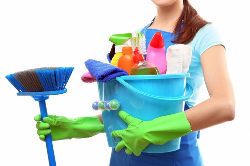 Technician performing upholstery and mattress sanitation