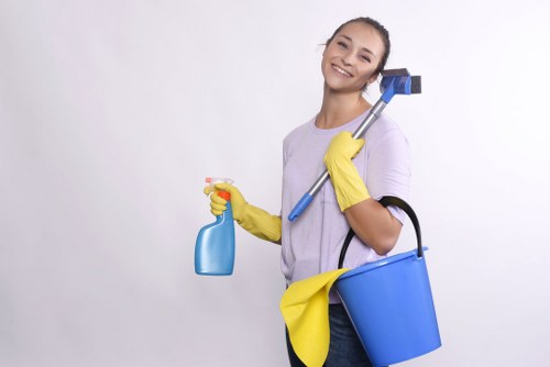 Quick spill cleanup for stain removal in Bow