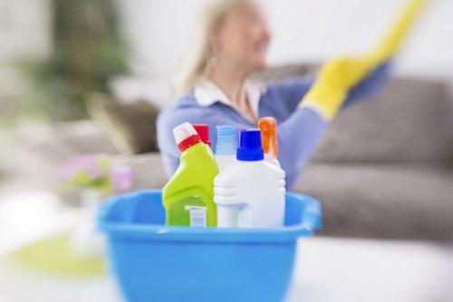 Deep cleaning methods for pet odour removal in Bow