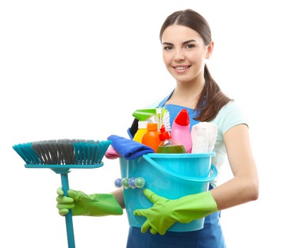Annual review section of the Bow Carpet Cleaners statement